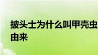 披头士为什么叫甲壳虫 一个乐坛传奇的命名由来